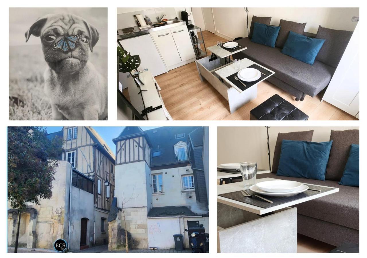 "Colbert Studio" Coeur De Ville - Cathedrale Saint Gatien Tours Exteriör bild